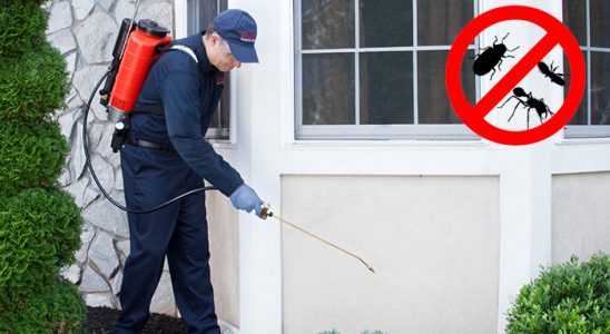 Toprakkale Karınca İlaçlama böcek ilaçlama ve haşere kontrolü — ilaclama-tr.com